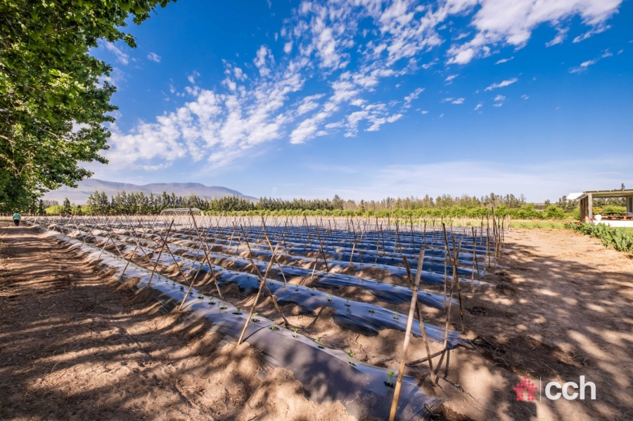 Commercial Property for Sale in Swellendam Rural Western Cape